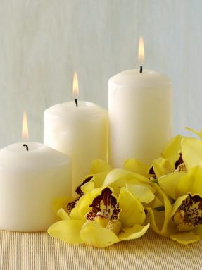 shutterstock_31394656